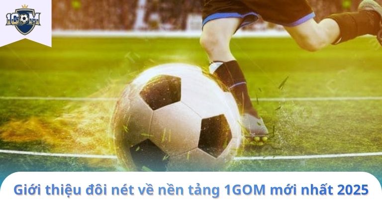 giới thiệu 1 gom